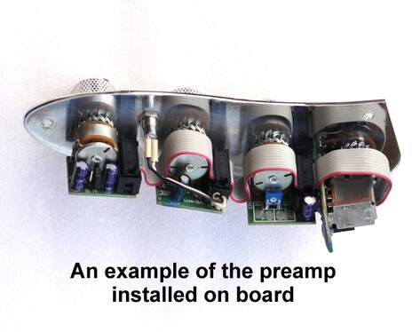 Taurus onboard bass preamp modular design, Active Bass Preamp